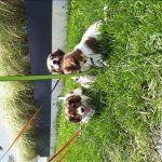 10Woche
